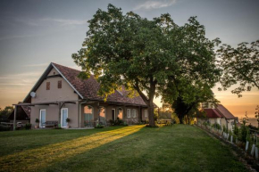 Winzarei, Weingut Tement